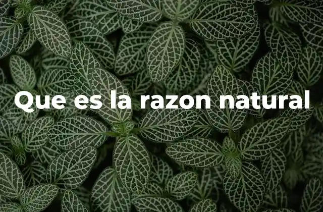 Que es la Razon Natural