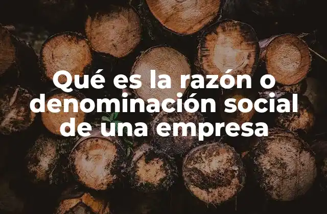 Qué es la Razón o Denominación Social de una Empresa
