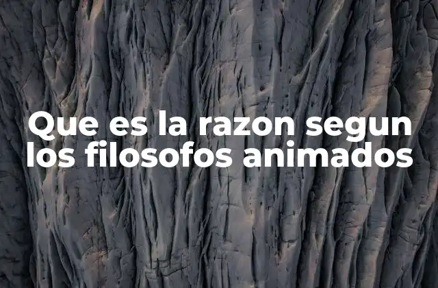 Que es la Razon Segun los Filosofos Animados