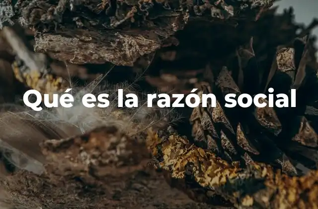 Qué es la Razón Social