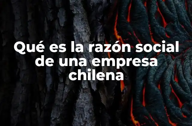 Qué es la Razón Social de una Empresa Chilena