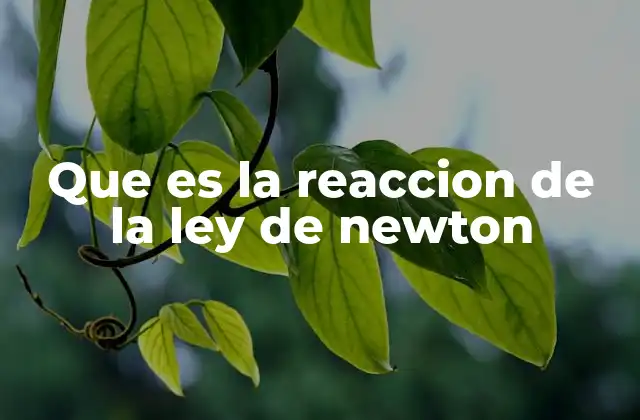 Que es la Reaccion de la Ley de Newton