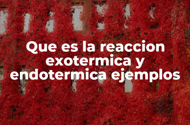 Que es la Reaccion Exotermica y Endotermica Ejemplos
