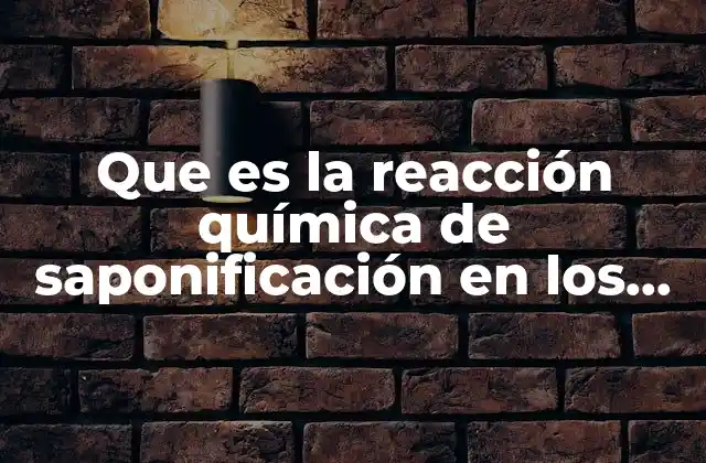 Que es la Reacción Química de Saponificación en los Lípidos