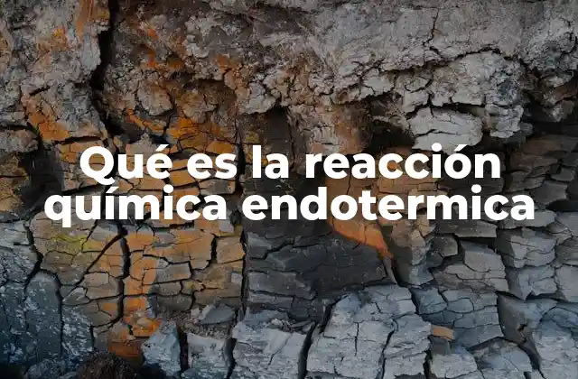 Qué es la Reacción Química Endotermica