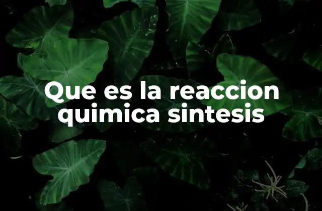 Que es la Reaccion Quimica Sintesis