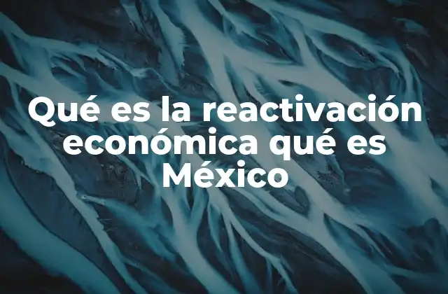 Qué es la Reactivación Económica Qué es México