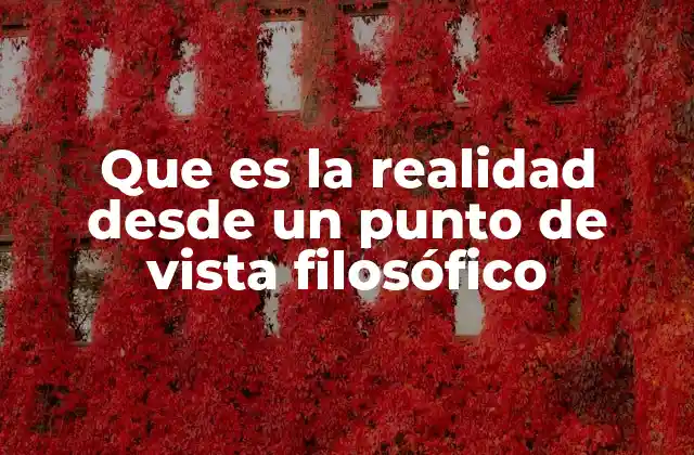 Que es la Realidad desde un Punto de Vista Filosófico