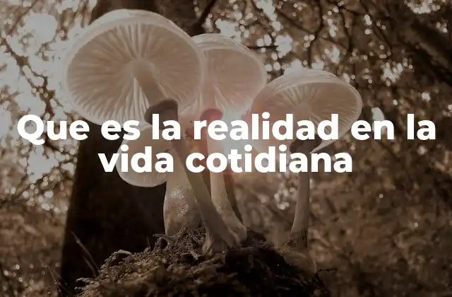 Que es la Realidad en la Vida Cotidiana