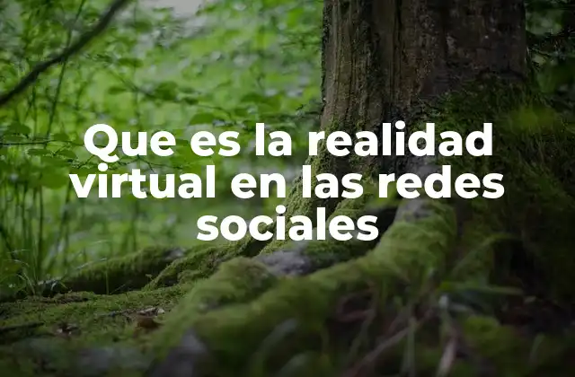 Que es la Realidad Virtual en las Redes Sociales