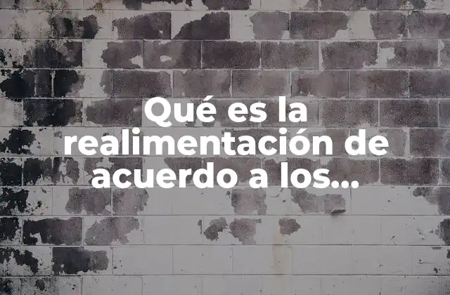 El papel de la realimentación en el desarrollo de competencias esenciales