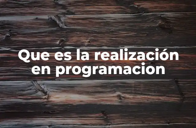 Que es la Realización en Programacion