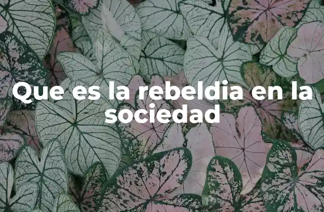 La fuerza transformadora de la resistencia social