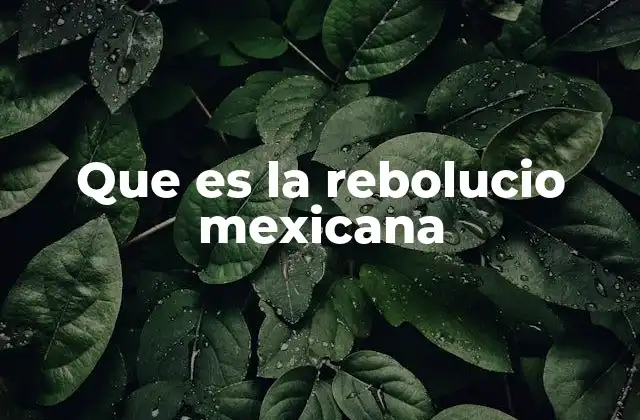 Que es la Rebolucio Mexicana