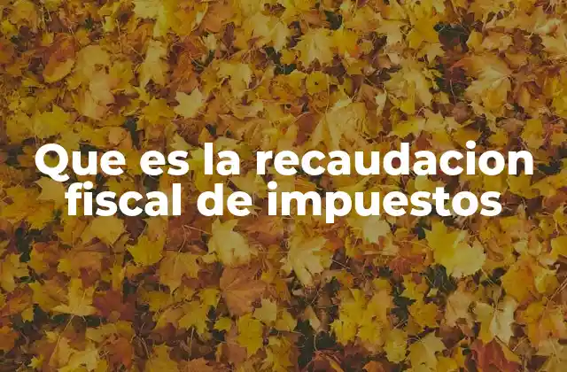 Que es la Recaudacion Fiscal de Impuestos 2 El papel de la recaudación en la sostenibilidad del Estado