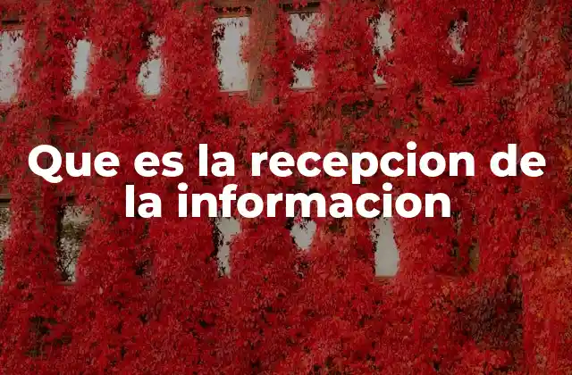 Que es la Recepcion de la Informacion