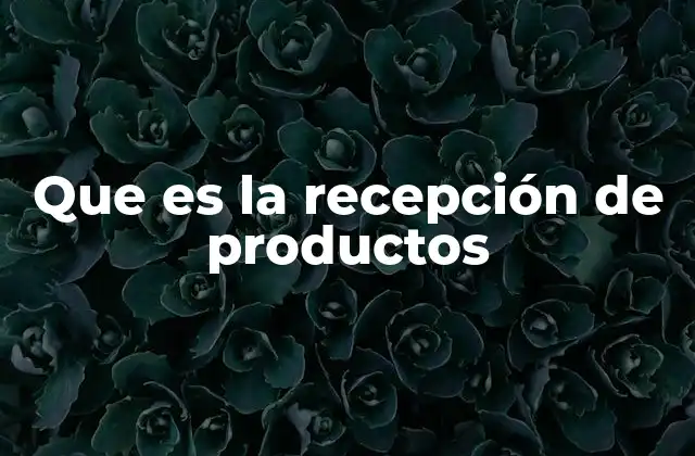 Que es la Recepción de Productos