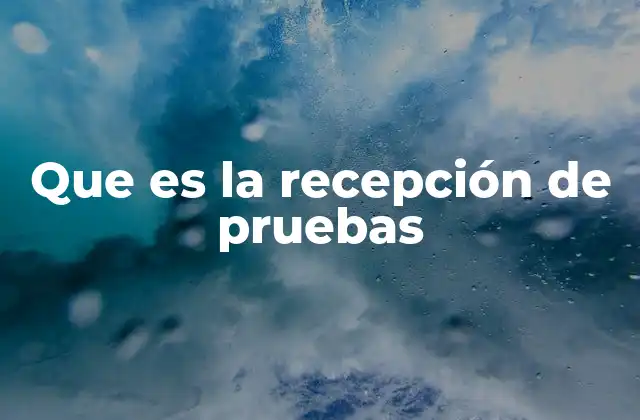 Que es la Recepción de Pruebas