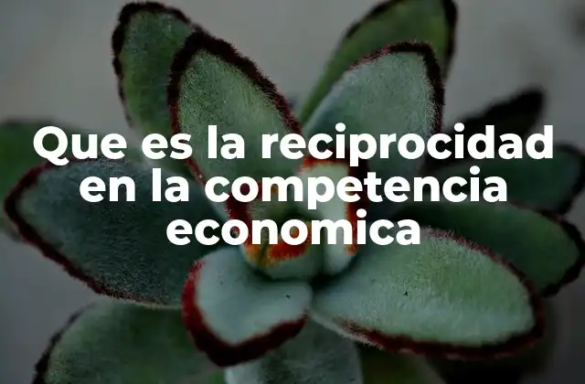 Que es la Reciprocidad en la Competencia Economica