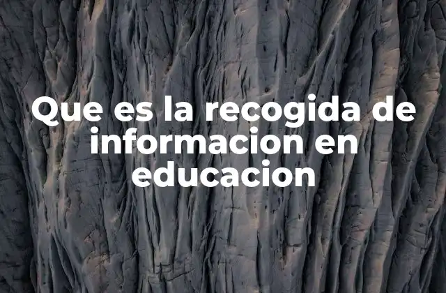 Que es la Recogida de Informacion en Educacion