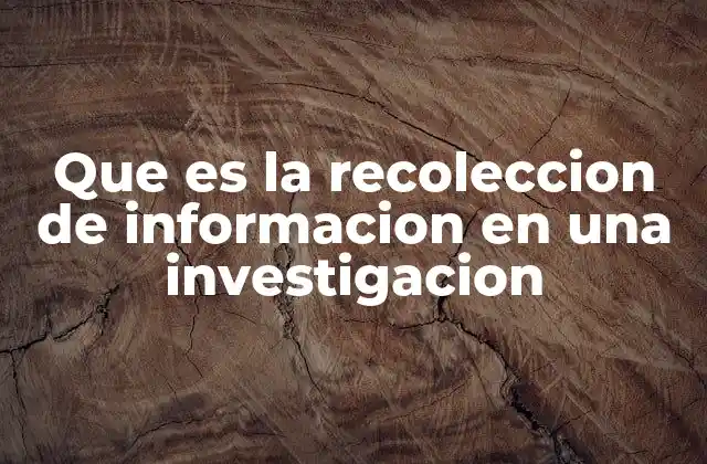 Que es la Recoleccion de Informacion en una Investigacion
