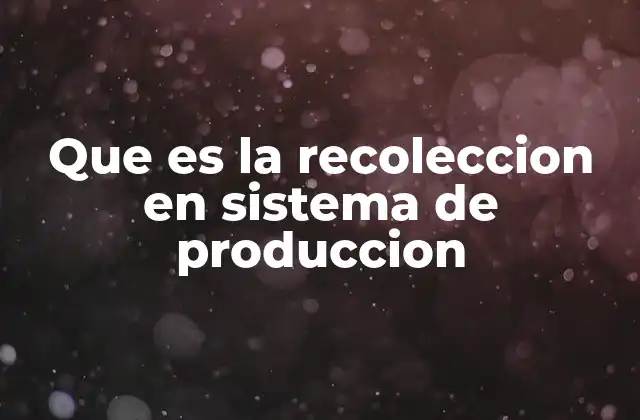 Que es la Recoleccion en Sistema de Produccion
