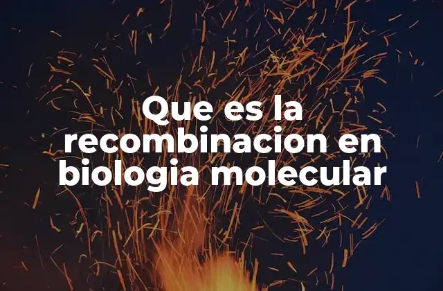 Que es la Recombinacion en Biologia Molecular