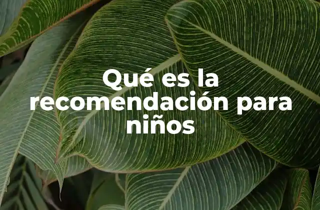 Qué es la Recomendación para Niños