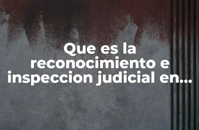 Que es la Reconocimiento e Inspeccion Judicial en Materia Mercantil