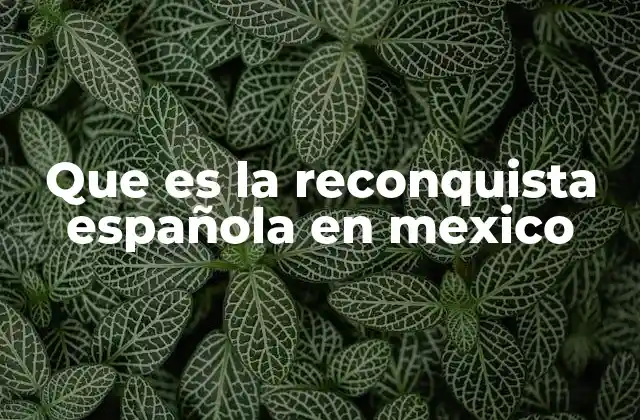Que es la Reconquista Española en Mexico