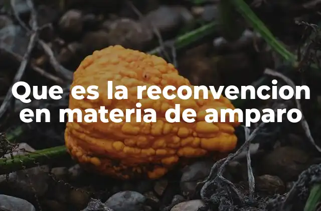 Que es la Reconvencion en Materia de Amparo