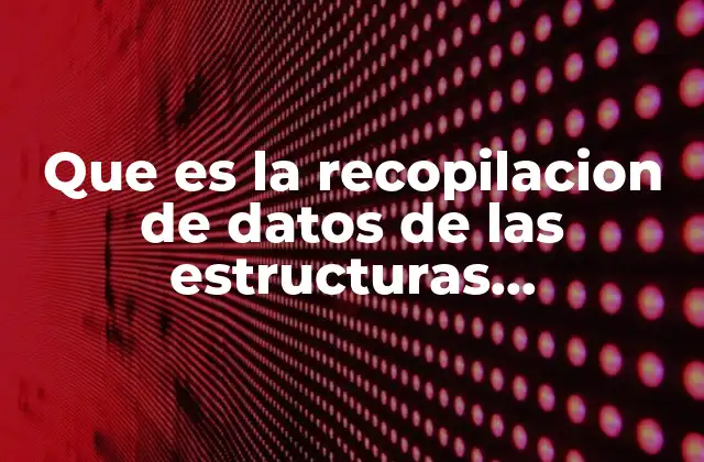 Que es la Recopilacion de Datos de las Estructuras Organizacionales