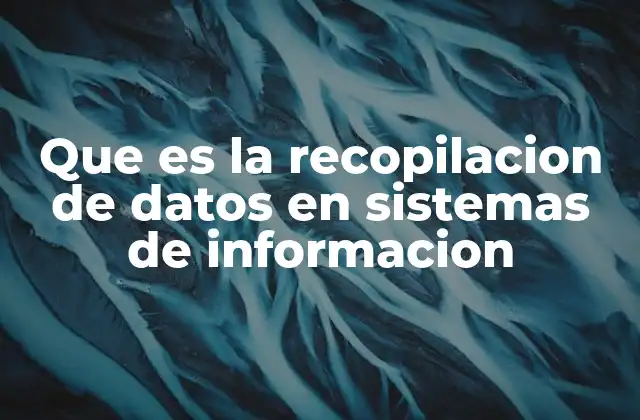 Que es la Recopilacion de Datos en Sistemas de Informacion