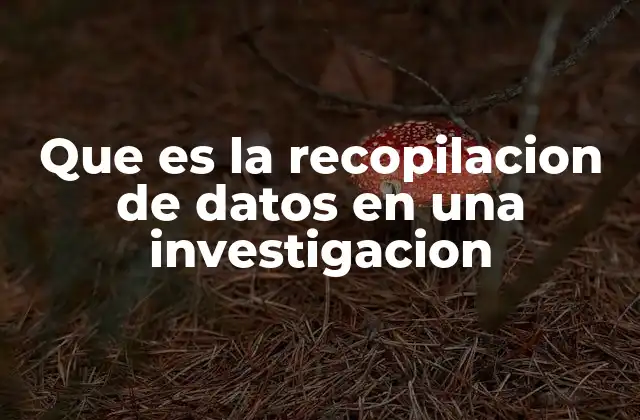 Que es la Recopilacion de Datos en una Investigacion