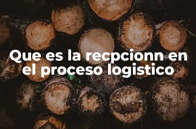 Que es la Recpcionn en el Proceso Logistico
