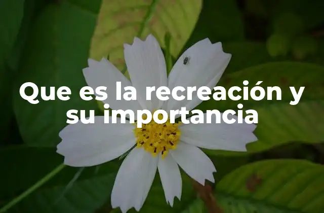 Que es la Recreación y Su Importancia