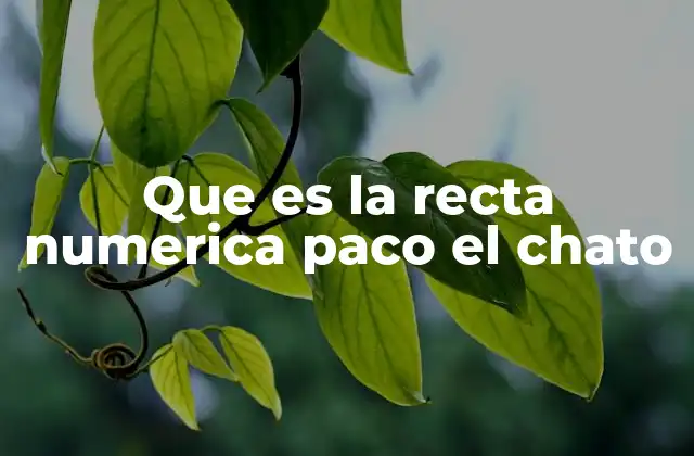 Que es la Recta Numerica Paco el Chato