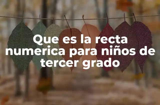 Que es la Recta Numerica para Niños de Tercer Grado