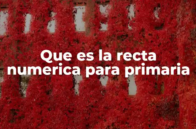 La recta numérica como herramienta pedagógica