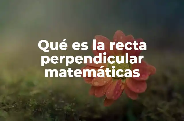 La importancia de la perpendicularidad en geometría
