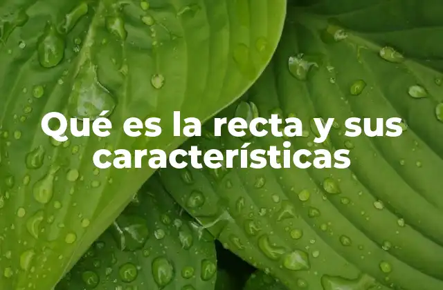 Qué es la Recta y Sus Características