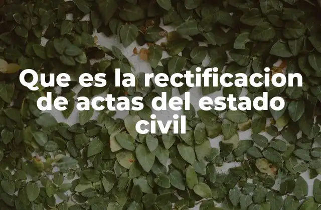 Que es la Rectificacion de Actas Del Estado Civil
