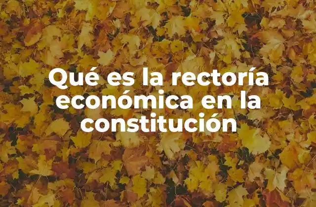 Qué es la Rectoría Económica en la Constitución