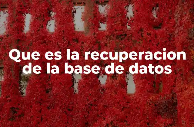 Que es la Recuperacion de la Base de Datos