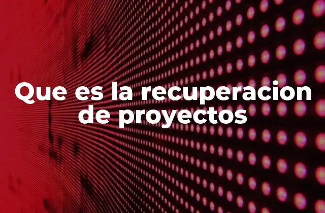 Que es la Recuperacion de Proyectos