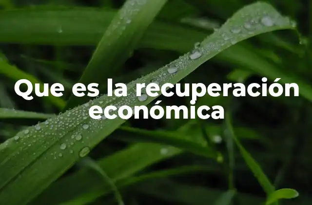 Que es la Recuperación Económica