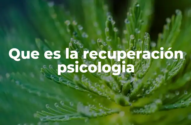 Que es la Recuperación Psicologia