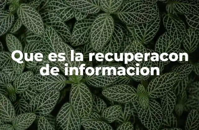 Que es la Recuperacon de Informacion