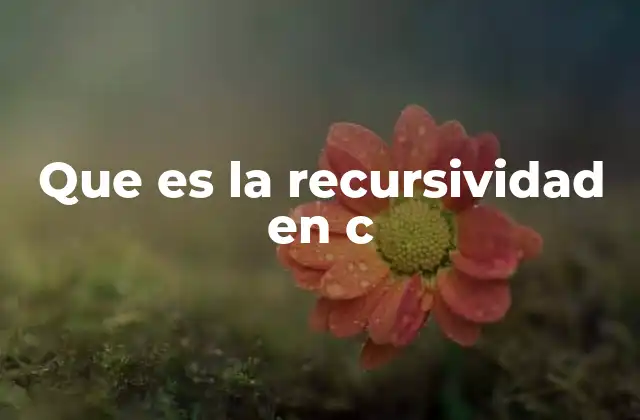 Que es la Recursividad en C