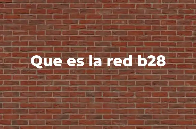 Que es la Red B28